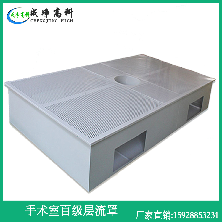 100-1000class laminar ceiling